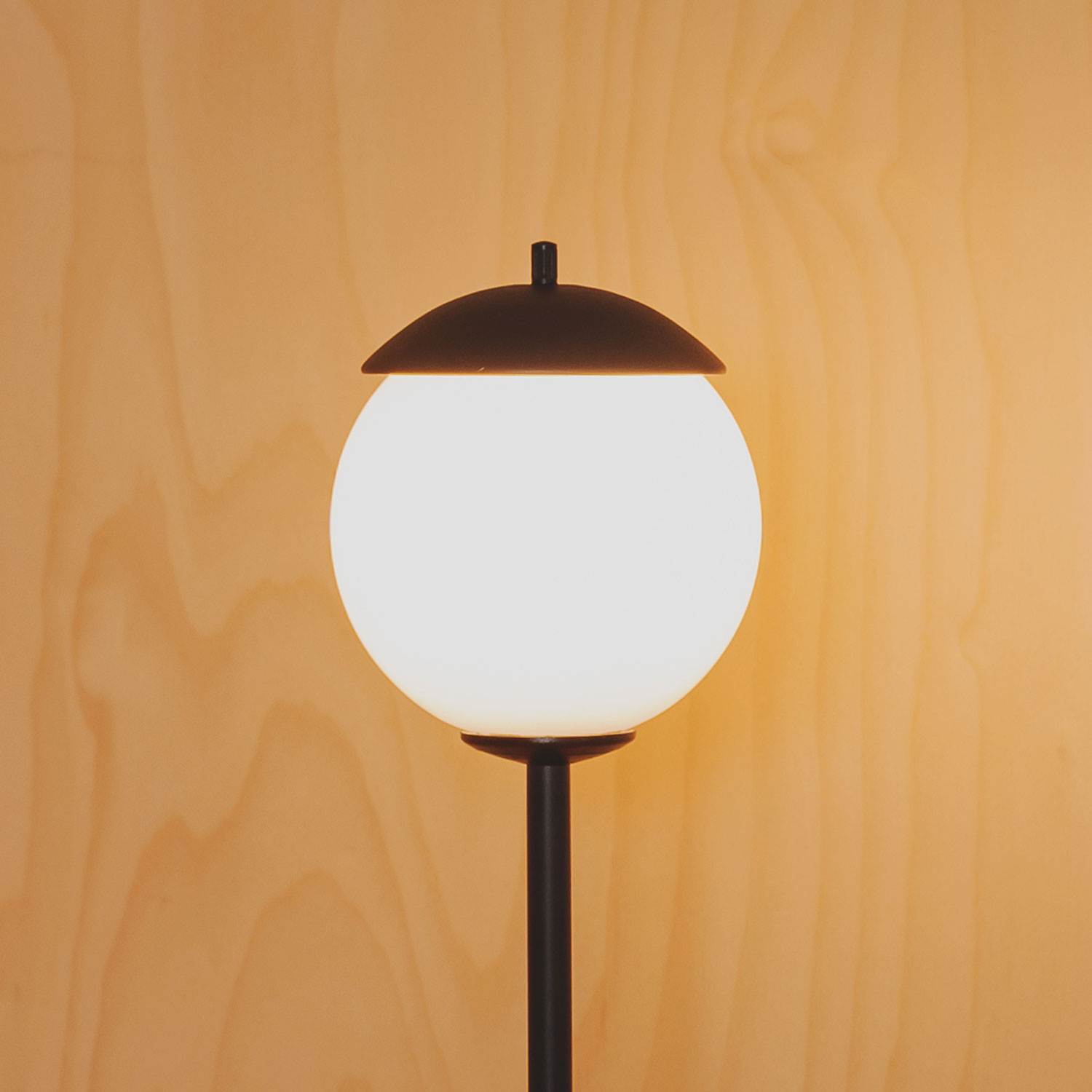 7098 MLN Kep 32 T anthrazit – Bild 5